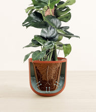 Lade das Bild in den Galerie-Viewer, Earth Red stand:all