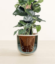 Lade das Bild in den Galerie-Viewer, Natural Bamboo stand:all
