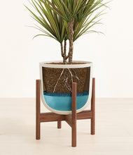 Load image into Gallery viewer, Natural Bamboo stand:walnut