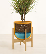 Load image into Gallery viewer, Sunset Orange stand:bamboo