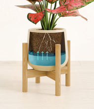 Load image into Gallery viewer, Almond Green stand:bamboo