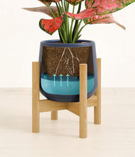 Load image into Gallery viewer, Deep Navy stand:bamboo