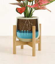 Load image into Gallery viewer, Turquoise stand:bamboo