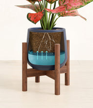 Load image into Gallery viewer, Deep Navy stand:walnut