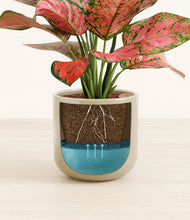 Load image into Gallery viewer, Sage Green