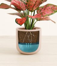 Load image into Gallery viewer, Sandy Pink