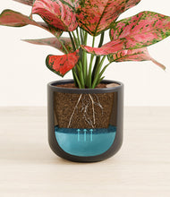 Load image into Gallery viewer, Stone Black