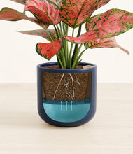 Load image into Gallery viewer, Twilight Blue