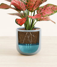 Load image into Gallery viewer, Misty Blue