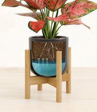 Load image into Gallery viewer, Stone Black stand:bamboo