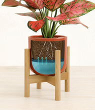 Load image into Gallery viewer, Glossy Red stand:bamboo