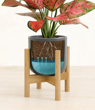 Load image into Gallery viewer, Iron Gray stand:bamboo