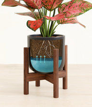 Load image into Gallery viewer, Stone Black stand:walnut