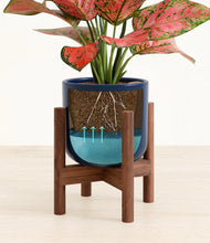 Load image into Gallery viewer, Twilight Blue stand:walnut