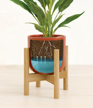 Load image into Gallery viewer, Glossy Red stand:bamboo