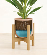 Load image into Gallery viewer, Glossy Pink stand:bamboo