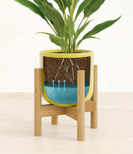 Load image into Gallery viewer, Key Lime Yellow stand:bamboo