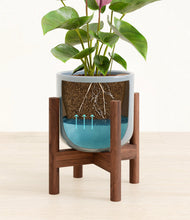 Load image into Gallery viewer, Misty Blue stand:walnut