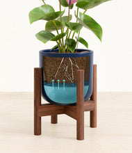 Load image into Gallery viewer, Twilight Blue stand:walnut