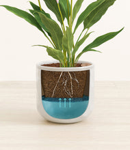 Load image into Gallery viewer, Hammered Ivory