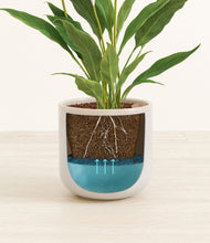 Load image into Gallery viewer, Snowdrift White