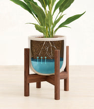 Load image into Gallery viewer, Snowdrift White stand:bamboo