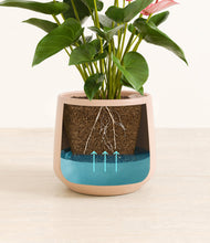 Load image into Gallery viewer, Gentle Pink