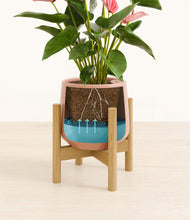 Load image into Gallery viewer, Calm Rose stand:bamboo