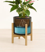 Load image into Gallery viewer, Black stand:bamboo