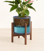 Load image into Gallery viewer, Deep Navy stand:walnut