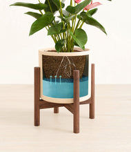 Load image into Gallery viewer, Cream stand:walnut