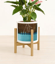 Load image into Gallery viewer, White stand:bamboo