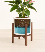 Load image into Gallery viewer, White stand:walnut