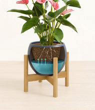 Load image into Gallery viewer, Deep Navy stand:bamboo