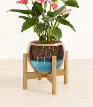 Load image into Gallery viewer, Calm Rose stand:bamboo