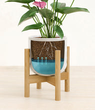Lade das Bild in den Galerie-Viewer, Hammered Ivory stand:bamboo