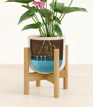 Lade das Bild in den Galerie-Viewer, Snowdrift White stand:walnut