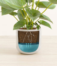 Load image into Gallery viewer, Hammered Ivory