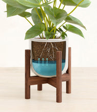 Load image into Gallery viewer, Hammered Ivory stand:walnut