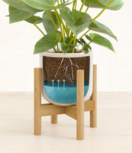 Load image into Gallery viewer, Snowdrift White stand:bamboo