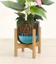 Load image into Gallery viewer, Stone Black stand:bamboo