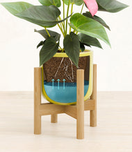 Load image into Gallery viewer, Key Lime Yellow stand:bamboo