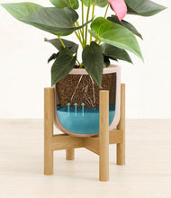 Load image into Gallery viewer, Sandy Pink stand:bamboo