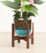 Load image into Gallery viewer, Cotton White stand:walnut