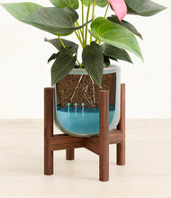 Load image into Gallery viewer, Reactive Aqua stand:walnut