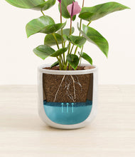 Load image into Gallery viewer, Hammered Ivory