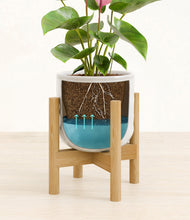 Load image into Gallery viewer, Hammered Ivory stand:bamboo