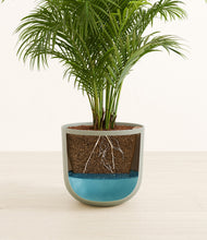 Load image into Gallery viewer, Sage Green