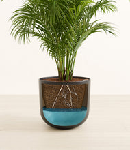 Load image into Gallery viewer, Stone Black