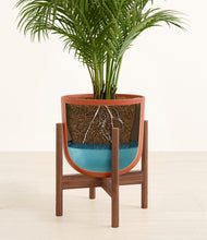 Load image into Gallery viewer, Earth Red stand:walnut
